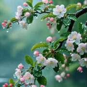 ヒメ日記 2026/04/07 09:52 投稿 あんず 熟女の風俗最終章 宇都宮店