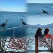 ヒメ日記 2026/04/12 20:51 投稿 あんず 熟女の風俗最終章 宇都宮店