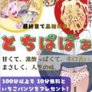 ヒメ日記 2026/04/14 07:21 投稿 あんず 熟女の風俗最終章 宇都宮店
