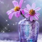 ヒメ日記 2026/04/15 09:02 投稿 あんず 熟女の風俗最終章 宇都宮店