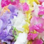 ヒメ日記 2026/04/21 09:51 投稿 あんず 熟女の風俗最終章 宇都宮店