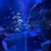 ヒメ日記 2025/09/19 12:18 投稿 こなつ SPIN(スピン)