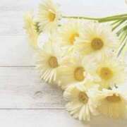 ヒメ日記 2025/09/22 23:50 投稿 こなつ SPIN(スピン)