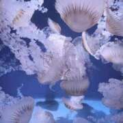 ヒメ日記 2025/10/18 12:26 投稿 こなつ SPIN(スピン)