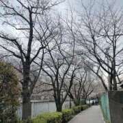 ヒメ日記 2025/10/22 11:00 投稿 こなつ SPIN(スピン)