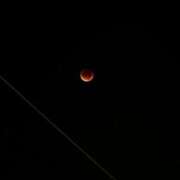 ヒメ日記 2025/09/08 07:01 投稿 美麗(みれい) 可憐な妻たち 太田店