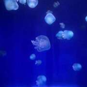 ヒメ日記 2025/10/14 07:01 投稿 かんな 無敵YOKOHAMA