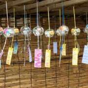 ヒメ日記 2025/08/13 15:39 投稿 太田みすず 色気あるワイフ