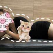 ヒメ日記 2025/10/29 20:59 投稿 太田みすず 麗しいマダム