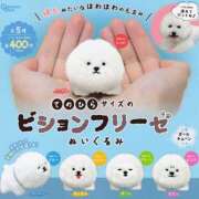 ヒメ日記 2026/02/10 18:51 投稿 太田みすず 美魔女エステ