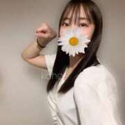 かほ 2026年🐴 エマーブル