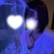 ヒメ日記 2026/04/14 14:09 投稿 小野寺あかね ウルトラハピネス