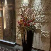 ヒメ日記 2025/09/09 11:24 投稿 日向 かえで こあくまな熟女たち高崎店(KOAKUMAグループ)