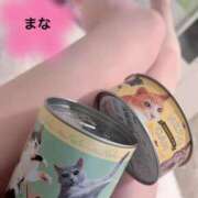 ヒメ日記 2025/08/07 09:13 投稿 まな 吉祥寺大人めシンデレラ（シンデレラグループ）