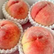 ヒメ日記 2025/08/16 11:15 投稿 まな 吉祥寺大人めシンデレラ（シンデレラグループ）