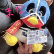 ヒメ日記 2026/01/08 09:53 投稿 まな 吉祥寺大人めシンデレラ（シンデレラグループ）