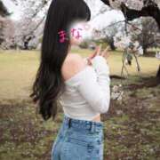 ヒメ日記 2026/04/02 11:12 投稿 まな 吉祥寺大人めシンデレラ（シンデレラグループ）