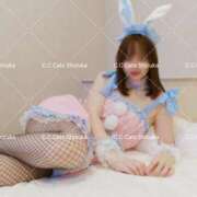 ヒメ日記 2025/08/01 11:41 投稿 しずか C.C.CATS