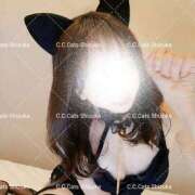 ヒメ日記 2025/08/02 14:02 投稿 しずか C.C.CATS