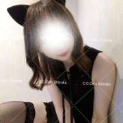 ヒメ日記 2025/08/07 00:02 投稿 しずか C.C.CATS