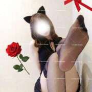 ヒメ日記 2025/10/11 18:21 投稿 しずか C.C.CATS