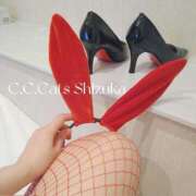 ヒメ日記 2025/10/12 13:02 投稿 しずか C.C.CATS