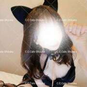 ヒメ日記 2025/10/16 17:02 投稿 しずか C.C.CATS