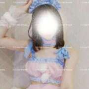 ヒメ日記 2025/10/26 14:41 投稿 しずか C.C.CATS