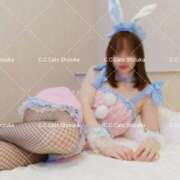 ヒメ日記 2025/11/04 14:22 投稿 しずか C.C.CATS