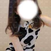 ヒメ日記 2025/11/06 19:41 投稿 しずか C.C.CATS