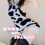 ヒメ日記 2025/11/11 15:02 投稿 しずか C.C.CATS