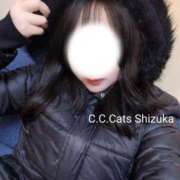 ヒメ日記 2025/11/25 19:22 投稿 しずか C.C.CATS