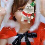 ヒメ日記 2025/12/24 14:03 投稿 しずか C.C.CATS