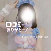 ヒメ日記 2025/12/31 16:22 投稿 しずか C.C.CATS