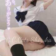 しずか ありがとう🌹 CCキャッツ