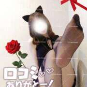 ヒメ日記 2026/03/28 15:42 投稿 しずか CCキャッツ