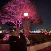 さくら 1/20   おはよう☀️ 桃色クリスタル