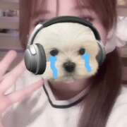 ヒメ日記 2025/11/22 18:26 投稿 とうか【究極の素人学生】 STELLA TOKYO－ステラトウキョウ－