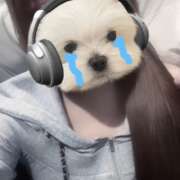 ヒメ日記 2025/12/16 04:14 投稿 とうか【究極の素人学生】 STELLA TOKYO-ステラトウキョウ-