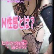 ヒメ日記 2025/09/10 08:08 投稿 筅(ささら☆M性感セラピスト 萌えラブ倉敷店