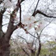 ヒメ日記 2026/04/01 00:15 投稿 上坂 あんな アソビザ女子社員 イメクラ部