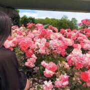 上坂 あんな 🌹҉ₛ🌹҉ₛ🌹҉ₛ🌹҉ₛ🌹҉ₛ アソビザ女子社員 イメクラ部