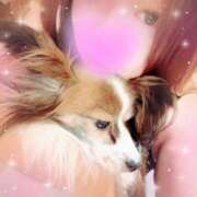 ヒメ日記 2025/09/14 15:50 投稿 まや 丸妻 横浜本店