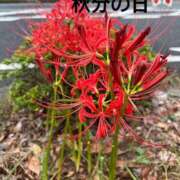 ヒメ日記 2025/09/23 22:14 投稿 高梨夕子 五十路マダムエクスプレス横浜店（カサブランカグループ）