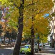 高梨夕子 木曜日ありがとうございました 五十路マダムエクスプレス横浜店（カサブランカグループ）