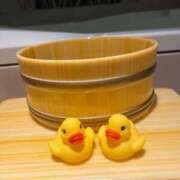 ヒメ日記 2025/12/08 03:12 投稿 高梨夕子 五十路マダムエクスプレス横浜店（カサブランカグループ）