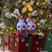 ヒメ日記 2025/11/30 19:22 投稿 ひびき 西船人妻花壇