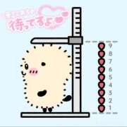 ヒメ日記 2026/02/06 18:10 投稿 ひびき 西船人妻花壇