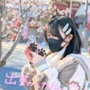 ヒメ日記 2026/03/23 11:57 投稿 さくの 池袋人妻ヒットパレード（シンデレラグループ）