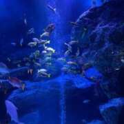 ヒメ日記 2025/09/19 12:27 投稿 こなつ 新宿スピン